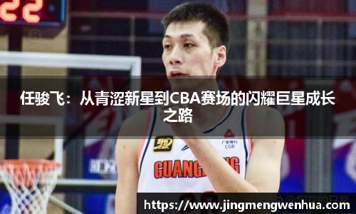 任骏飞：从青涩新星到CBA赛场的闪耀巨星成长之路